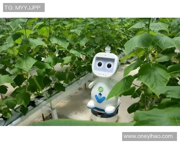 南宫app注册-轻松注册南宫APP，开启便捷生活新篇章-南宫app注册